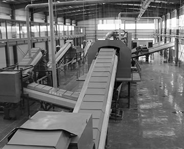 100T/D MSW Sorting Plant